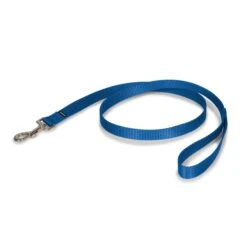Nylon Leash 30 Nylon Leash -Pawsy Store dkdubxphzjsp7dnvj9he e3581eab d153 4b60 8857 81edd3788ce9