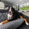 Happy Ride® Quilted Bench Seat Cover, Extra Wide 2 Happy Ride® Quilted Bench Seat Cover, Extra Wide -Pawsy Store dvz23qlvvhnjsxcsapqi d072cb4a 1b82 4058 9374 e9f48966267d