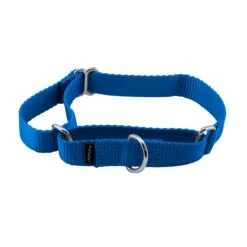 Martingale Collar -Pawsy Store e2lqfcbds7zyyhizy5qb 01648158 2654 407f 8650 f7562f456073