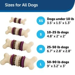 Busy Buddy® Bristle Bone® -Pawsy Store e3gguwelxrkg7dva9be7 d647a484 db34 4f0c 8326 a54abb06a53d