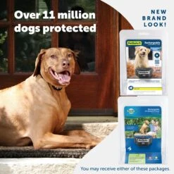 Rechargeable In-Ground Fence™ Receiver Collar -Pawsy Store eefbbf4duphfh6iasrai 4d09ee16 1d49 4aaa b35f 73547aa4e538