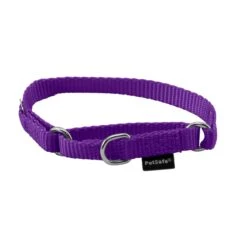 Martingale Collar -Pawsy Store ehw1jpqxw23ynrpf2ckb 6031a924 64cf 45fc 8d59 b2f25cc30c07