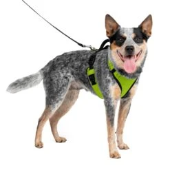EasySport Harness -Pawsy Store ei2p9fquz2ueljzxp0dj b61b611d bc54 4c1b 93fc c95c68ea5f2f