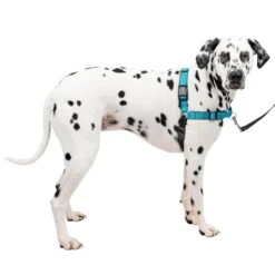 Deluxe Easy Walk® Harness -Pawsy Store elp3euogtx6uoxc9ejqi 987cbb0a f91d 4e2e 823a 473b201ffa6e