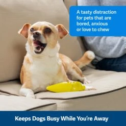 Frosty Cone -Pawsy Store ezl5x2gpm2ue8aalksex 9c0f0132 7385 4422 abd7 db0cadb3acf2