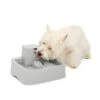 Drinkwell® 1 Gallon Pet Fountain -Pawsy Store f5hk1j8lmhrrkhvmhz5m 8955acdc da8f 469a ac3a 8fd9f4eccbc6
