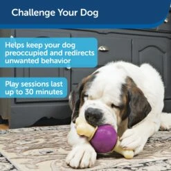 Busy Buddy® Bouncy Bone™ -Pawsy Store fncjnmviukuq1pvd1ujb abf7a4e9 31d2 4e90 a903 20adfa070afe