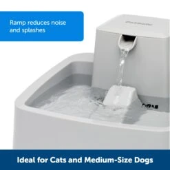 Drinkwell® 1 Gallon Pet Fountain -Pawsy Store frekiysyggiqplaa53ly 812f350a 5b1b 4b97 8aa8 d7e4e440baf8