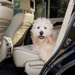 Happy Ride® Dog Ramp Adaptor -Pawsy Store fwzchpyjt3hqdnvimxsu d22a78c8 3ecc 49cd ac51 271be2b7be35