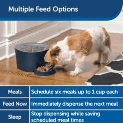Six Meal Feeder -Pawsy Store fxrxrtylruatfqa0xx46 a07f6585 a4ca 41d3 891e 71260b136fa7