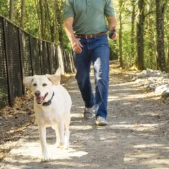 Remote Trainer Transmitter Hand Strap -Pawsy Store gapsabn2v4uzzadlqps2 1a21cddf 24fb 493a be26 4eb5bfff4731