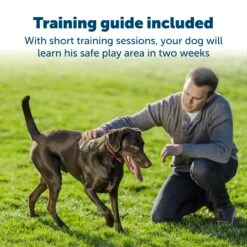 Stay & Play® Wireless Fence Receiver Collar For Stubborn Dogs 11 Stay & Play® Wireless Fence Receiver Collar For Stubborn Dogs -Pawsy Store gwae83qhquwcvdsubxmu