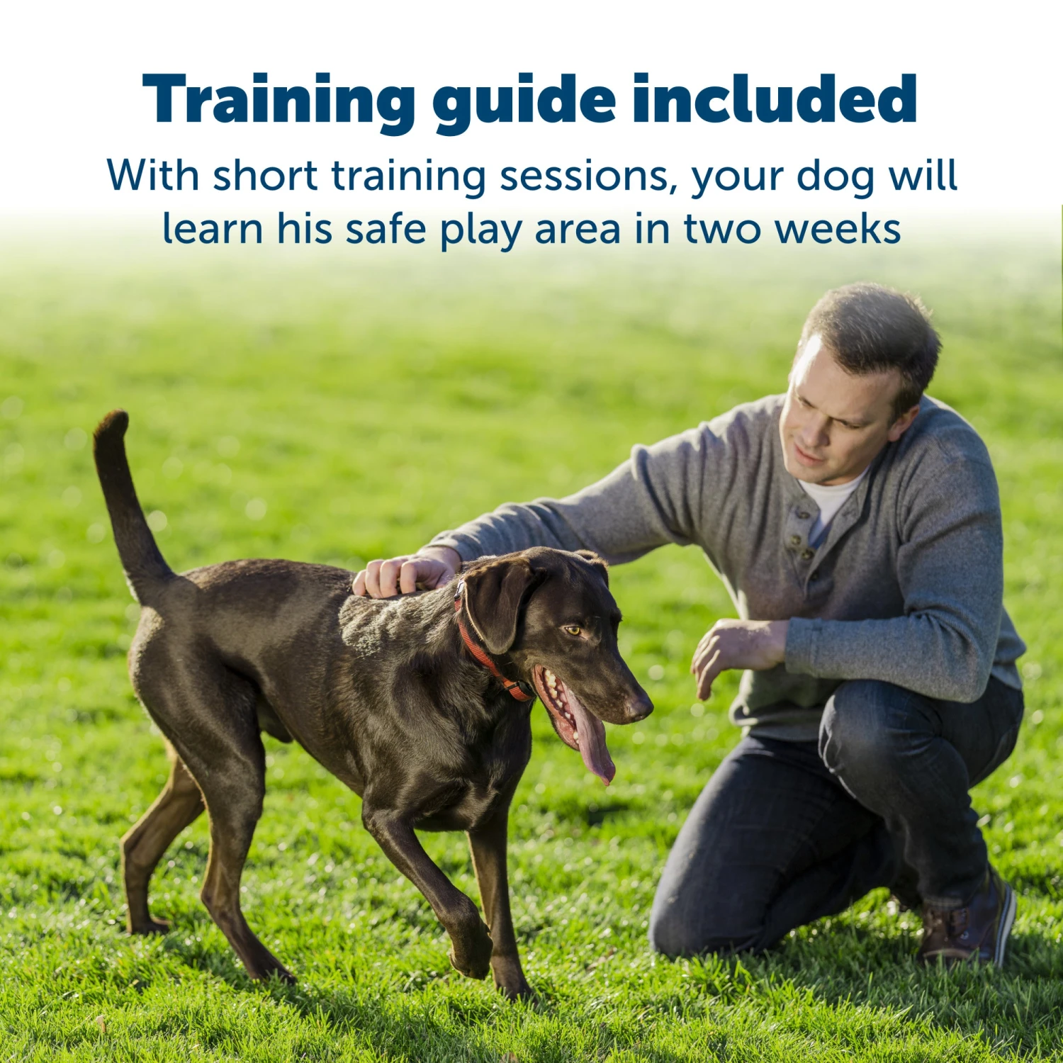 Stay & Play® Wireless Fence Receiver Collar For Stubborn Dogs 6 Stay & Play® Wireless Fence Receiver Collar For Stubborn Dogs - Image 4