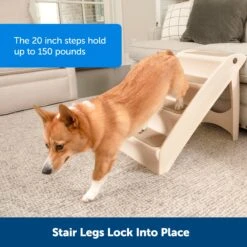 CozyUp™ Folding Pet Steps -Pawsy Store h8a6smeqfzrpqyvpihns 05144360 e072 4b41 abd5 75160ce26756