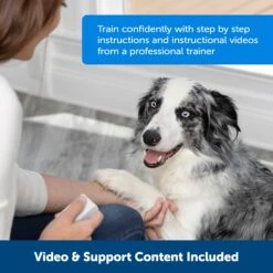 Teach & Treat Remote Reward Trainer -Pawsy Store hc0aiud9shzuj5edxpnq c327b536 5328 403d b5eb 403ff687d96f