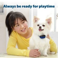 Pawsy Store -Pawsy Store hi3uy09tl33gndepgall