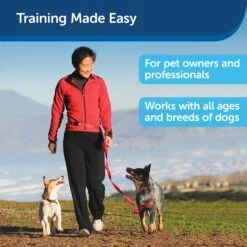 Treat & Train™ Remote Reward Dog Trainer -Pawsy Store hmb6bso1c1ocrhlfya47 2d784301 84da 41eb 82ce 593b41ddf7b6