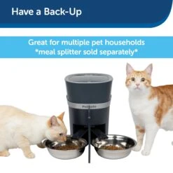 Stainless-Steel Bowl 10 Stainless-Steel Bowl -Pawsy Store hzusraywzn4ip3mo0dd7 179330cf aa8c 4ce8 b5d5 0993ef787c25