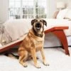 CozyUp™ Bed Ramp -Pawsy Store i31m76xui0bthxei1zda 2bfd232b d115 4979 81c1 9c0d6a4a4e64
