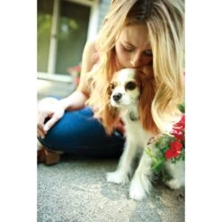 Deluxe Little Dog In-Ground Fence™ Receiver Collar -Pawsy Store ihym0h7clm0bbf01slkj d4ab8ab7 2965 444c a87d b6f9de982f06