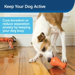 Squeak 'n Treat Booya -Pawsy Store iqoay7m5i0twajoffcve 3977a620 f7d5 4743 8cb9 94e7164a9d6c