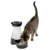 Healthy Pet Water Station™ -Pawsy Store iugltpbjrqkcrmerbjqf cca5a0f5 8067 44a6 92bd 116d95e56881