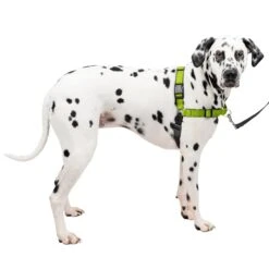 Deluxe Easy Walk® Harness -Pawsy Store jcoanovwcorahtkxox2z 4f6fac22 58fa 45bb 98ee 08c2df879cf7