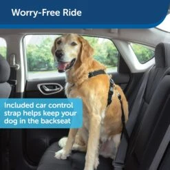 3 In 1 Harness With Two Point Control Leash -Pawsy Store jdznwtats58nxrov81ze bf74d353 047b 4aae 850c 203754bb527e