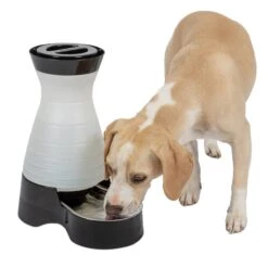 Healthy Pet Water Station™ -Pawsy Store jkssmmfa2yugcu3c6kxn c02f22a1 db74 4ac6 a0e7 991dc767fc1f