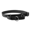 Martingale Collar -Pawsy Store k2kwfi65xpoaa6fdhcix cc6ce93e dbad 4d20 95d5 36ba7fd7b784