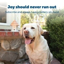 Replacement 9-Volt Battery For In-Ground Fence Collar -Pawsy Store kafext7duardbejkuyht