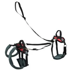 CareLift™ Support Harness -Pawsy Store khsjo7hxl18exis6jlxe 32685fcc 3300 4a3c 889e 8ed3e1dc0121