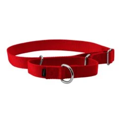 Martingale Collar -Pawsy Store khyg0rgpikmmgw0f5tco bcd95dbb bdc1 45af b645 3cd83ec8e85c
