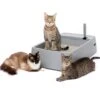 Multi-Cat Litter Box -Pawsy Store kncbgbnx1rmfxj438ktd b97d89ec cb7d 4049 b036 c835fc92e5d9