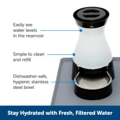 Healthy Pet Water Station™ -Pawsy Store kuceqtsomf9pt04e8yyg ea37acd9 ec1f 487e bb71 6c1e3012062a