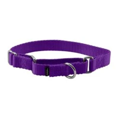 Martingale Collar -Pawsy Store kujkosf7bzvireczbxms bc247f18 3693 4b37 ada6 d859883f4fa8