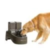 Drinkwell® Outdoor Dog Fountain -Pawsy Store kup62ia3oensmgvsmu0b 1a340ef7 d47d 4a8b 9a2b e48757bddd9f