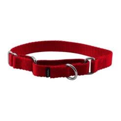Martingale Collar -Pawsy Store l13qfctcdap6ka6rqh7f eb387f4f 7e71 4f76 a4f0 b452e7c9bddf