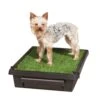 Pet Loo™ Pet Toilet -Pawsy Store lbxehuullmgde6cjollx 13408865 4ff1 4ee3 9e5b decefc05b6b6