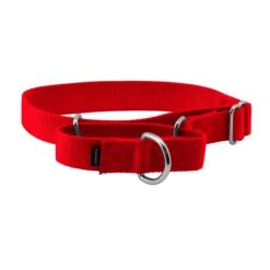 Martingale Collar -Pawsy Store lxdnpcfz2rgbovwnerxs 558b2dad b993 4422 8576 9edbe2751b6d
