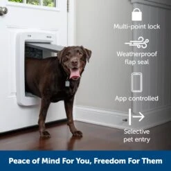 SmartDoor™ Connected Pet Door Tunnel Extension -Pawsy Store meo9ngrgi6dmvehs0prm 6abaff2d 3ba2 4b1a 8d20 2517d649594a