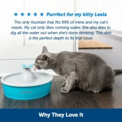 Drinkwell® Butterfly Pet Fountain 13 Drinkwell® Butterfly Pet Fountain -Pawsy Store mxvfxhf1osg7hjqdcya0 b00573ef 8331 48a6 b05f 839797782067