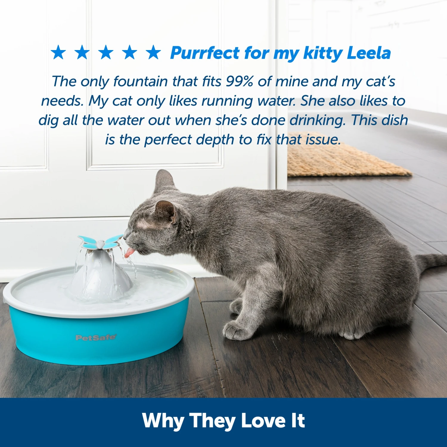 Drinkwell® Butterfly Pet Fountain 8 Drinkwell® Butterfly Pet Fountain - Image 6