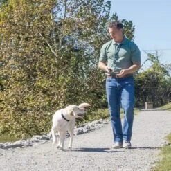 Remote Trainer Lanyard -Pawsy Store n22st2zutmfn8uzjum5y 72c71d9d acb0 4920 9ac8 c9b8c68b82d0