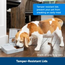 Automatic 2 Meal Pet Feeder -Pawsy Store nbm9dlvkshycfkrdltuj 5a3bfe80 bf8f 4064 9032 a79c0210541f