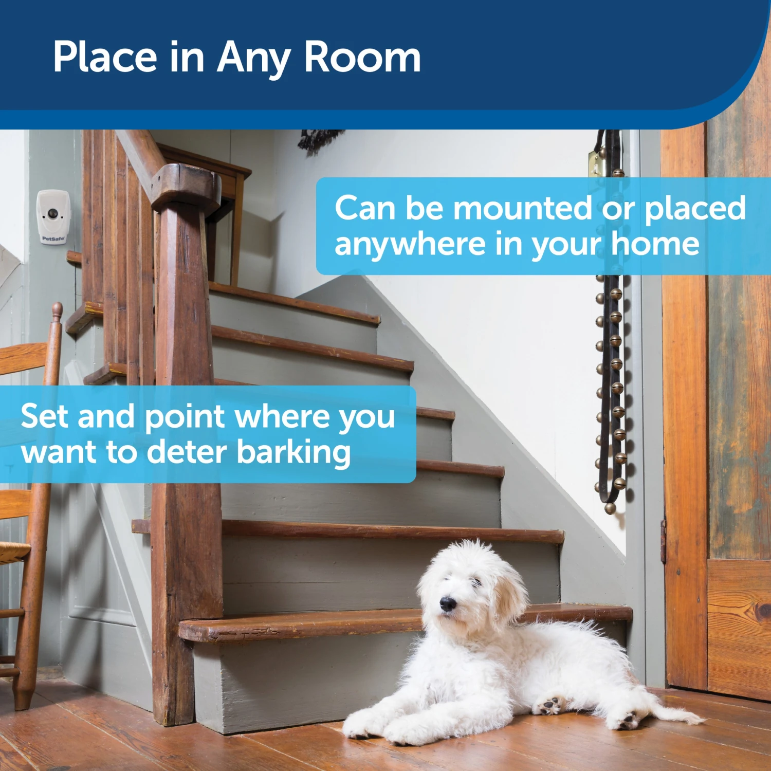 Indoor Bark Control, 1-Pack 7 Indoor Bark Control, 1-Pack - Image 5