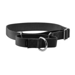 Martingale Collar -Pawsy Store nft0gsp4rpbyeqhk7rr8 a98759f3 62fd 4eaf a8e7 045381034ba4