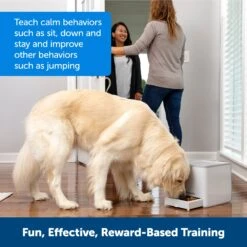 Teach & Treat Remote Reward Trainer -Pawsy Store ng2mf1db4rgpp6g4qzet de7c0f0f 709f 49d4 bad4 f31774333cc0