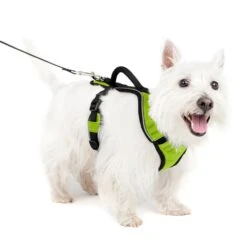 EasySport Harness -Pawsy Store nieyy8zk8dyndfzxp6vr eeae6d84 e0bb 4b06 ab0b 8c16a876a07f
