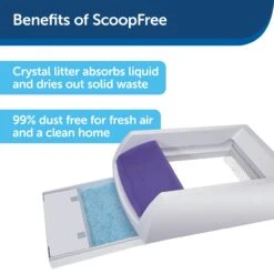 ScoopFree® Privacy Hood Purple -Pawsy Store nxybu59uzdokkoihbnrx b654aa77 deaa 4750 9ccb a49e464b5440